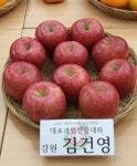 올해 대표과일은 ‘강원 정선 사과’