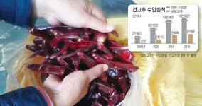 [기획]건고추산업<상>중국산 냉동고추 수입 실태