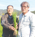 [기획]가축분뇨 자원화 상생 현장을 가다⑷전남 보성 쪽파 재배농가 오형권씨