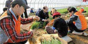 향긋한 ‘서산달래’ 소비자 입맛 유혹