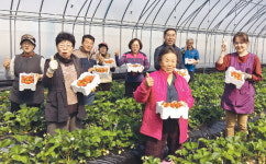 ‘농촌마을 공동농장’ 경기 여주 용담리 가보니…