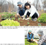 [문화부 기자의 生生 텃밭 일기]오늘 모종을 심었어 풍성한 결실 부탁해
