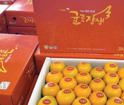 “고품질 귤로장생 맛보세요”