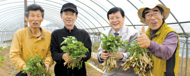 “봄철 입맛, 싱싱한 땅두릅으로 돋우세요”