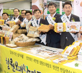 “‘철원오대쌀’ 가공식품 맛보세요”