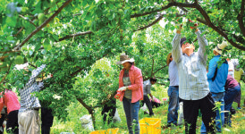 [귀농·귀촌 우리동네로 오세요]전북 순창군