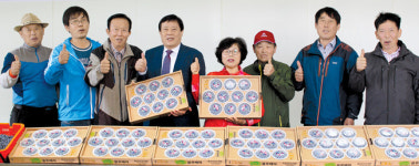 평택 안중농협 ‘황토블루베리’ 인기몰이