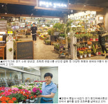 꽃소비 확대 새 모델 ‘카페형 원예매장’ 눈길