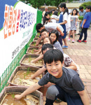 서울지역 초등학교서 모내기 체험 ‘호응’
