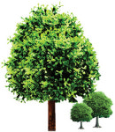 수목원 이용 문답풀이