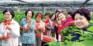 여성단체 회원 농업의 소중함 배워
