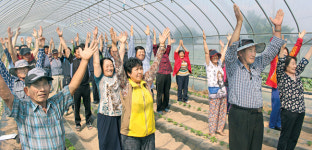 [현장]운동과 작업환경개선으로 건강지키는 경기 이천 수정리 마을