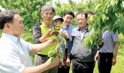 지역 농·축협이 농가소득 증대 이끈다⑶경북 김천혁신농협