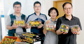 지역 농·축협이 농가소득 증대 이끈다⑷부산 대저농협