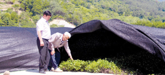 하동 화개농협 ‘왕의 녹차’ 스타벅스에 납품