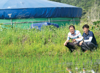 [기획]자연순환농업 전초기지를 가다⑶충북 괴산친환경한돈영농조합법인