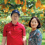 [제52회 새농민상 본상 수상자]산업포장