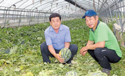 가뭄 뒤 폭우…“하늘도 무심” 탄식
