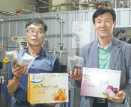 [연중기획-마을이 희망이다]4부 상생과 공동체가 힘이다⑵경남 창녕 모산양파정보화마을