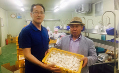 [농산물 몸값 높이자]2부 규모화가 경쟁력, 뭉쳐야 산다(5)한국머쉬그린조합공동사업법인