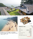 [엄마, 여기 어때요?]충남 보령 피서여행
