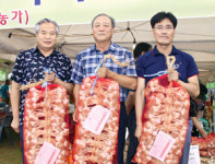 “‘단양마늘’ 드시고 여름을 건강하게…”