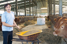 “가격 저렴하고 영양소 풍부 한달 생산비 1000만원 아껴”