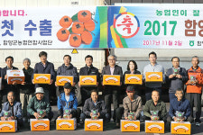 지리산 청정 함양 햇밤·단감 첫 수출길