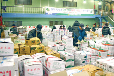 몸집 커진 도매시장 비상장거래…“정부 관리 강화를”