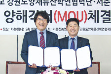 서춘천농협-강릉원주대 양채류사업단, 정보교류 업무협약