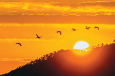 2017년, 역사의 뒤안길로…