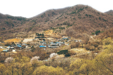 시골에서 집짓기(2)마을로 들어가라