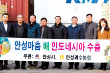 ‘안성마춤’ 배, 인도네시아 첫 수출