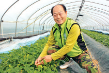 [명인, 농업기술을 말하다] 연속 착과기술로 작기 내내 안정 수확