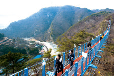 [엄마, 여기 어때요?] 강원 원주, 하늘 길 걸으니…상쾌하구나！