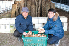 [귀농·귀촌 멘토링] 막막했던 귀농초보 이끌어준 ‘빛 같은’ 선배