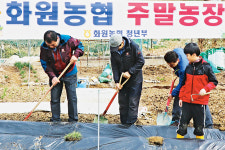 대구 달성 화원농협, 설화리에 주말농장 개장