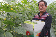 [가락시장 최고가 비결] 시기별 생육관리·꼼꼼한 선별로 ‘명품’ 인정받아