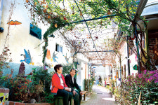 대구 달성토성마을 골목정원, 자그만 화분 모이고 모여 꽃길 되었네