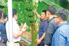 ‘제주 바나나’ 판로개척 ‘합심’