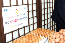 달걀 먹고 나누고 사고…산란계농가 돕기 ‘한마음’