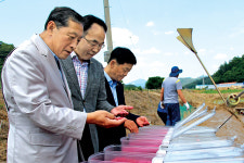 벼 직파재배로 영농비·일손 걱정 ‘뚝’