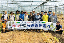 제주 서귀포 중문농협, 백합 구근 수확에 ‘구슬땀’