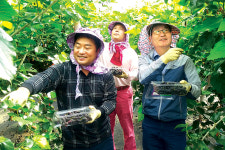 전북농협 ‘농촌일손돕기’ 제대로 팔 걷었다