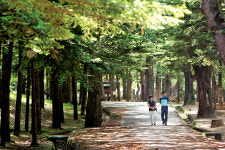 [엄마, 여기 어때요?] 충북 보은, 나를 찾아서…숲바꼭질