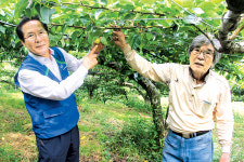 “저온피해로 농사 망쳤지만 농작물 재해보험 덕분에 다행”