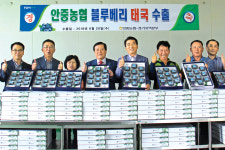 평택 안중농협 ‘황토블루베리’ 태국인 입맛 잡았다