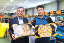 달고 맛있는 ‘임실엔복숭아’ 맛보세요