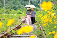 [영화처럼 드라마처럼] 강원 삼척…방울진 그리움, 내 마음 적시네