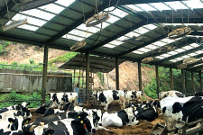 선도 축산농가들에게 듣는 축종별 가축·축사 관리 꿀팁은?